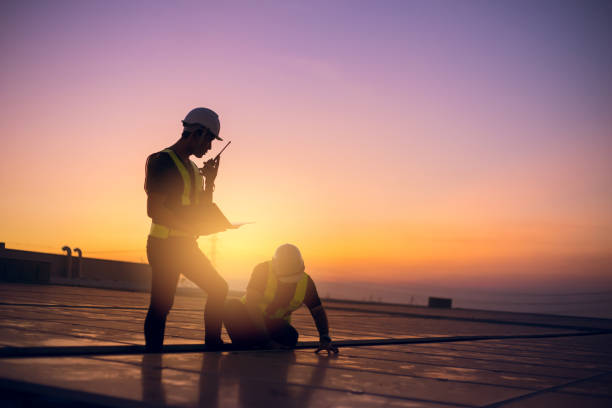 Best Roof Moss and Algae Removal  in Holgate, OH
