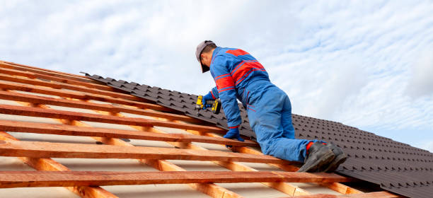 Best Roof Coating Services  in Holgate, OH