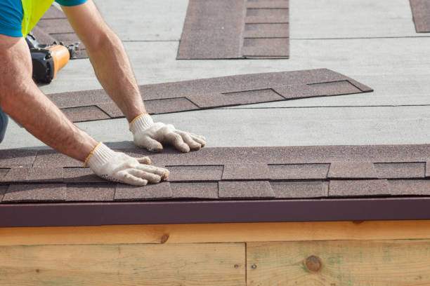 Best Gutter Installation and Repair  in Holgate, OH
