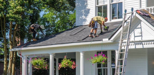 Best Storm Damage Roof Repair  in Holgate, OH